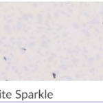 Wall Panel – White Sparkle